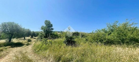 19070m² Land in Penne, Italy No. 87911 10