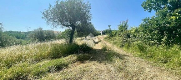19070m² Land in Penne, Italy No. 87911 4