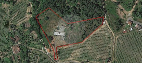 4 bedrooms House in Cabeceiras de Basto, Portugal No. 40025 14