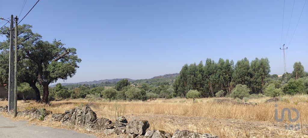 2040m² Land in Coimbra, Portugal No. 261390