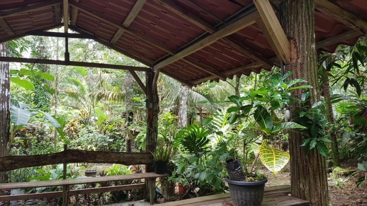 Земельный участок в Гарабито, Коста-Рика № 1430