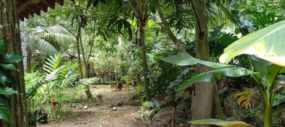 Земельный участок в Гарабито, Коста-Рика № 1430 4