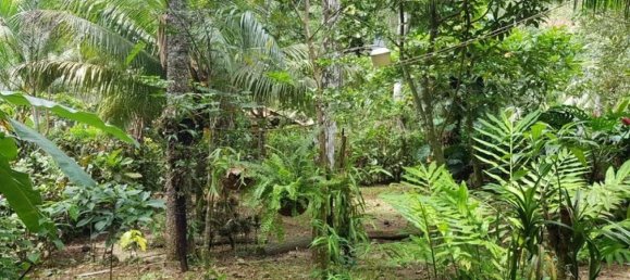 Земельный участок в Гарабито, Коста-Рика № 1430 5