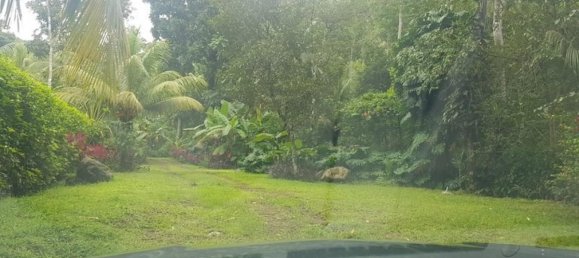 Земельный участок в Гарабито, Коста-Рика № 1430 2