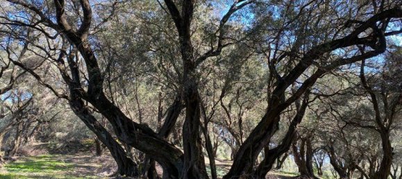 95095m² Hotel in Corfu, Greece No. 2946 13