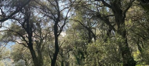 95095m² Hotel in Corfu, Greece No. 2946 15