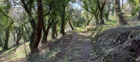 95095m² Hotel in Corfu, Greece No. 2946 6