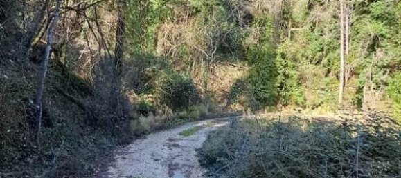Отель, гостиница 95095м² в Керкира, Центральная Керкира и Диапонтии-Ниси, Керкира, Ионические острова, Пелопоннес, Западная Греция и Ионические острова, Греция № 2946 4