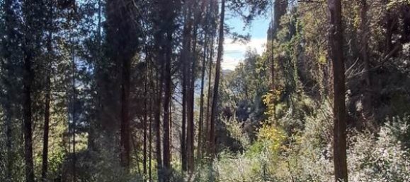 95095m² Hotel in Corfu, Greece No. 2946 3