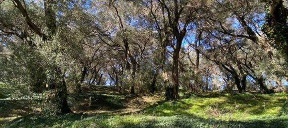 95095m² Hotel in Corfu, Greece No. 2946 5