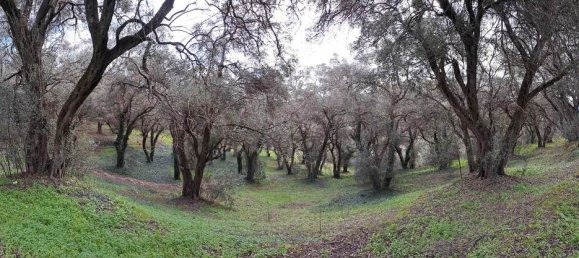 95095m² Hotel in Corfu, Greece No. 2946 7