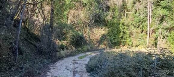 95095m² Hotel in Corfu, Greece No. 2946 4