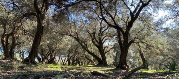 95095m² Hotel in Corfu, Greece No. 2946 14