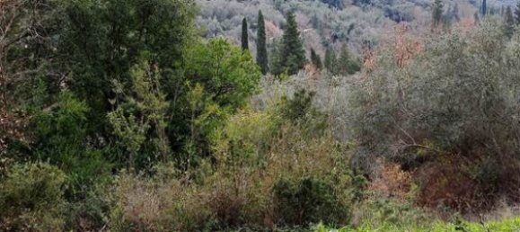 95095m² Hotel in Corfu, Greece No. 2946 12