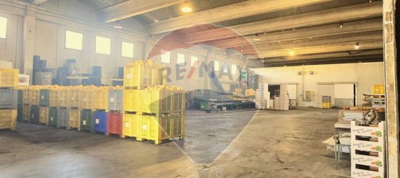 2500m² Warehouse in Ramacca, Italy No. 362051 4
