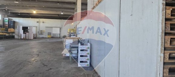 2500m² Warehouse in Ramacca, Italy No. 362051 5
