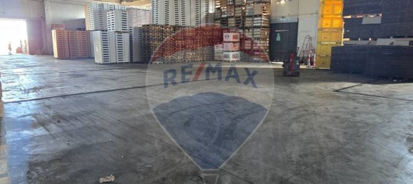 2500m² Warehouse in Ramacca, Italy No. 362051 6