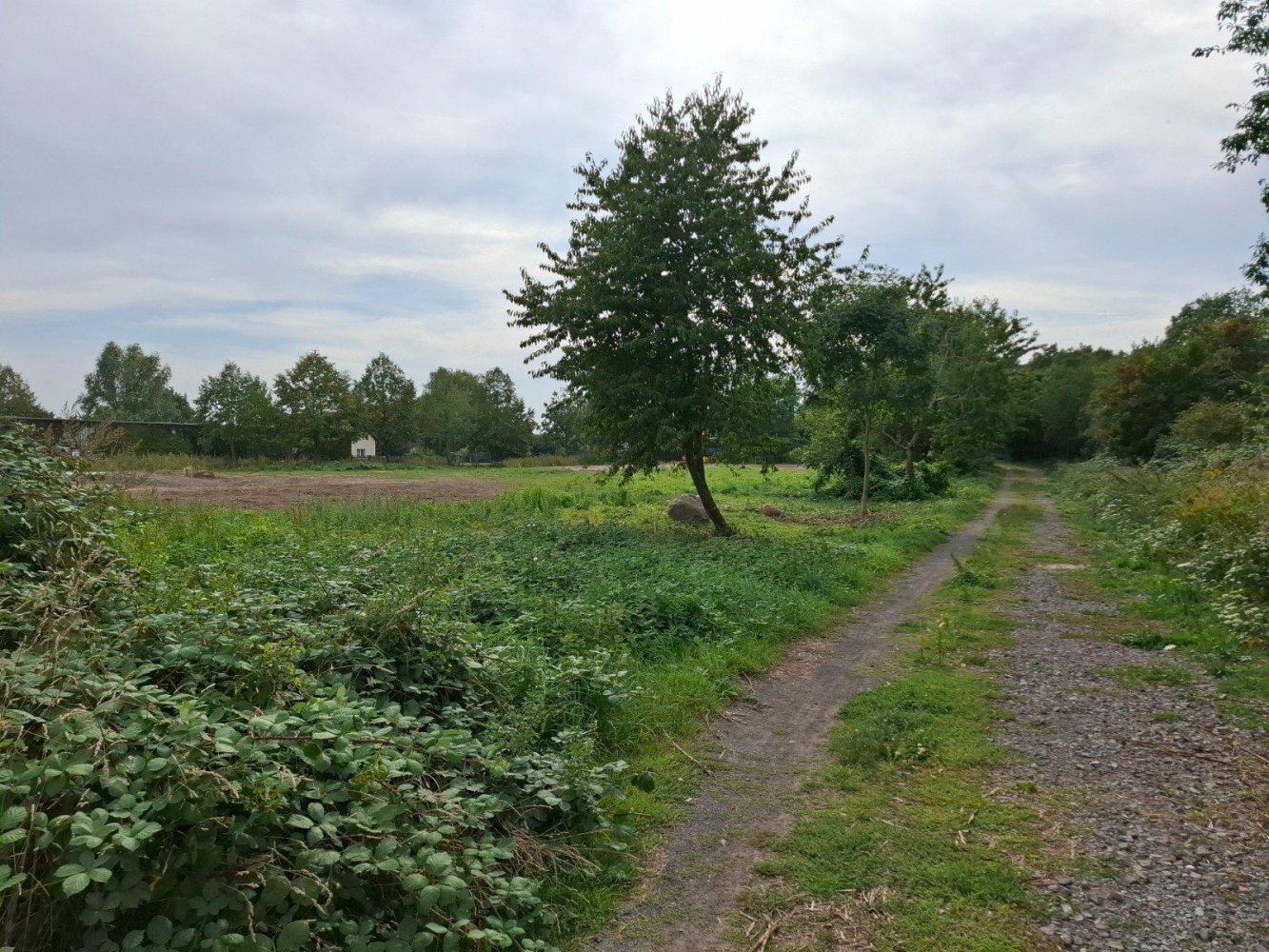 Grundstück in Nordsachsen, Germany, Nr. 295125