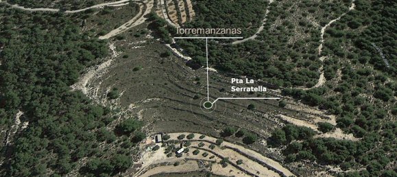 39200m² Land in Torremanzanas, Spain No. 96677 4