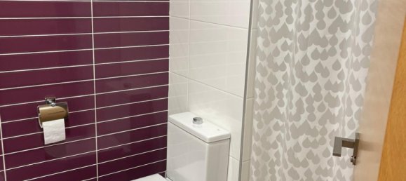 2 bedrooms Apartment in Alicante, Spain No. 132287 30