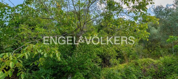 6220m² Land in Rocca di Cave, Italy No. 296023 9