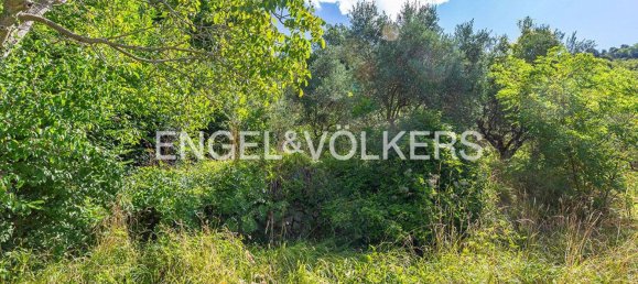 6220m² Land in Rocca di Cave, Italy No. 296023 7