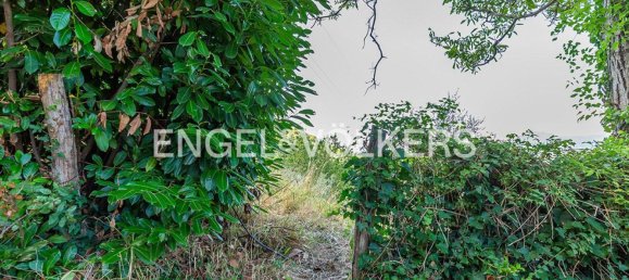 6220m² Land in Rocca di Cave, Italy No. 296023 12