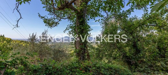 6220m² Land in Rocca di Cave, Italy No. 296023 4