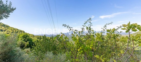 6220m² Land in Rocca di Cave, Italy No. 296023 10