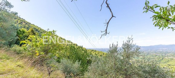 6220m² Land in Rocca di Cave, Italy No. 296023 6