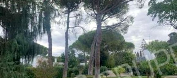 12 rooms Villa in Bari, Italy No. 276622 17