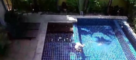 4 bedrooms Cafe / restaurant in Pattaya, Thailand No. 4109 9