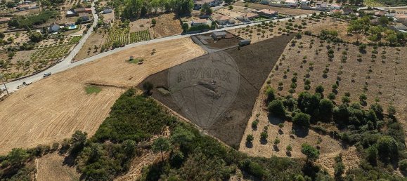4 Schlafzimmer Haus in Valpacos, Portugal, Nr. 20530 38