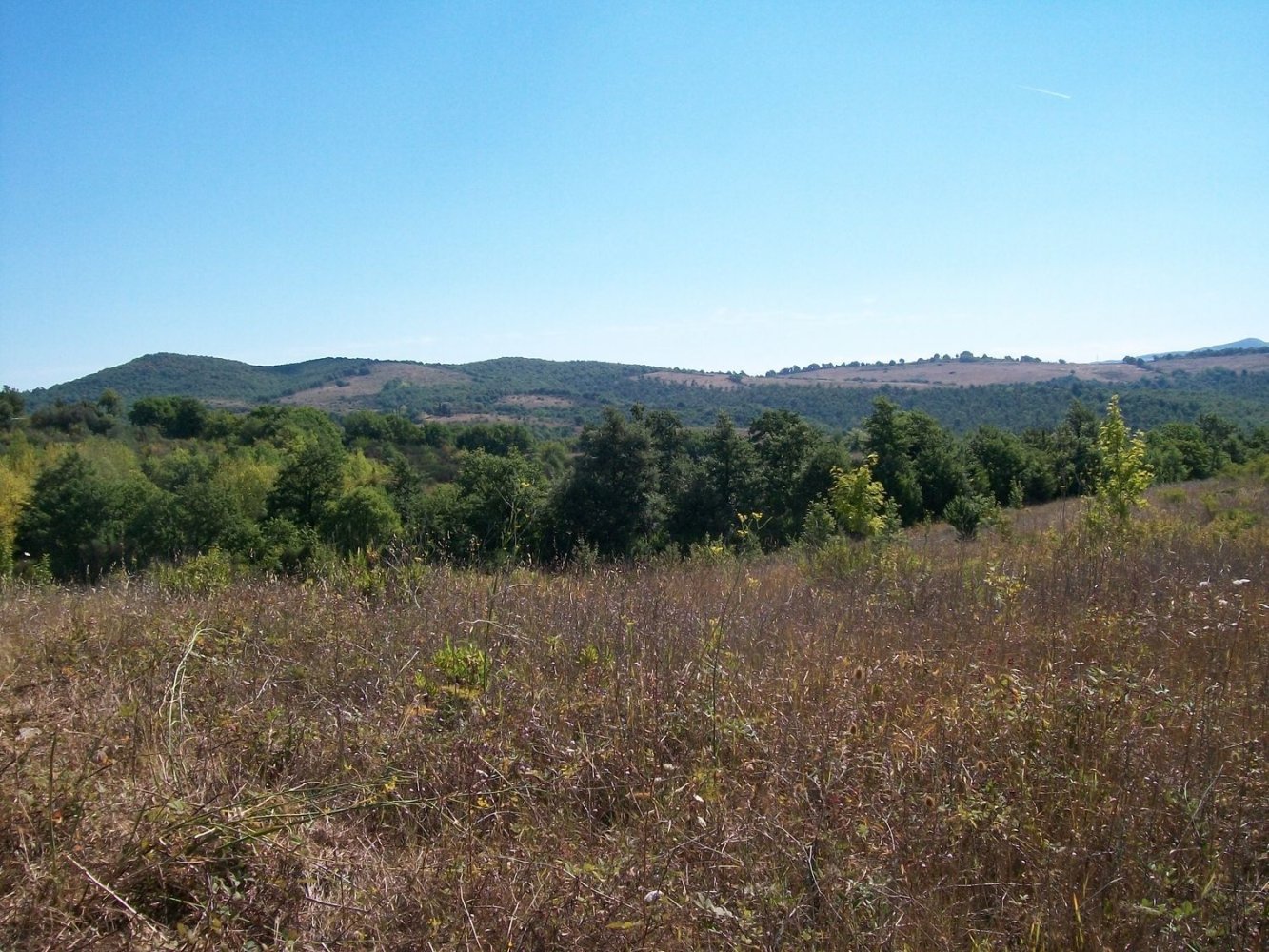 320000m² Land in Parrano, Italy No. 256153