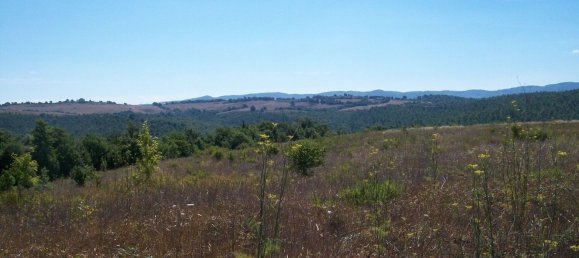 320000m² Land in Parrano, Italy No. 256153 2