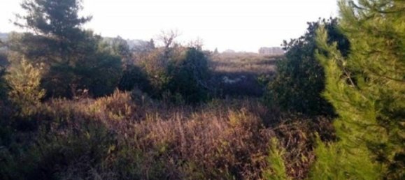 Terreno em Lecce, Italy 12587 m² N.º 306953 4