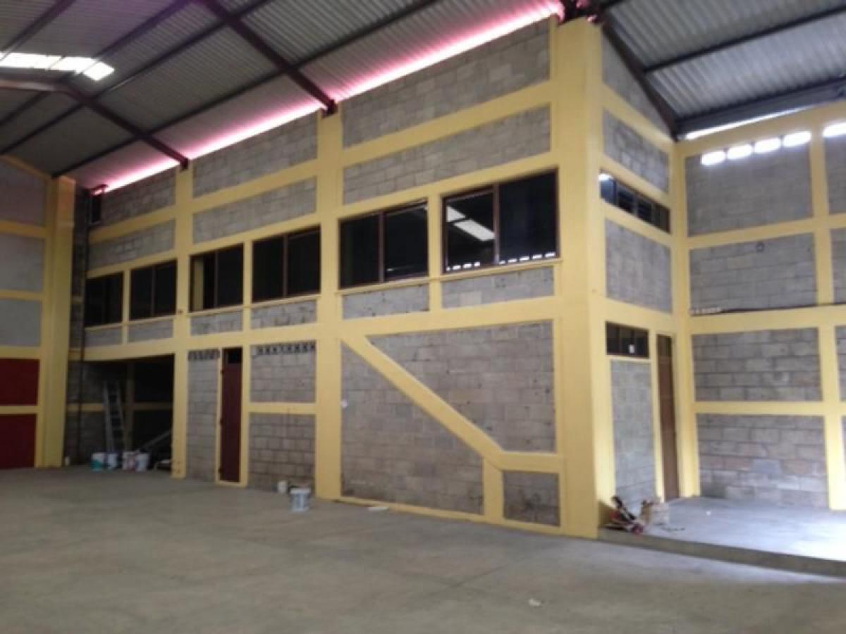 Propriété commerciale à Veracruz, Mexico No. 199666