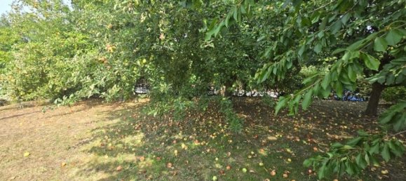 3 bedrooms House in Neuve-Maison, France No. 326423 3