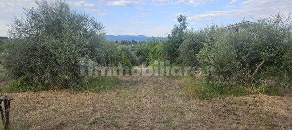 3600m² Land in San Cesareo, Italy No. 350246 4