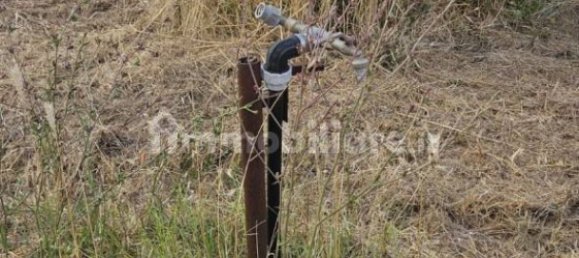 3600m² Land in San Cesareo, Italy No. 350246 6