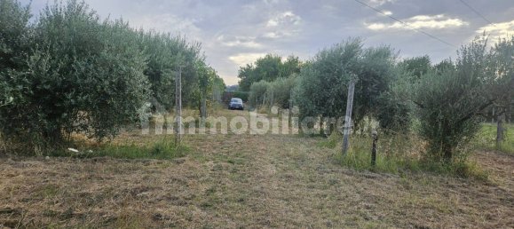 3600m² Land in San Cesareo, Italy No. 350246 3