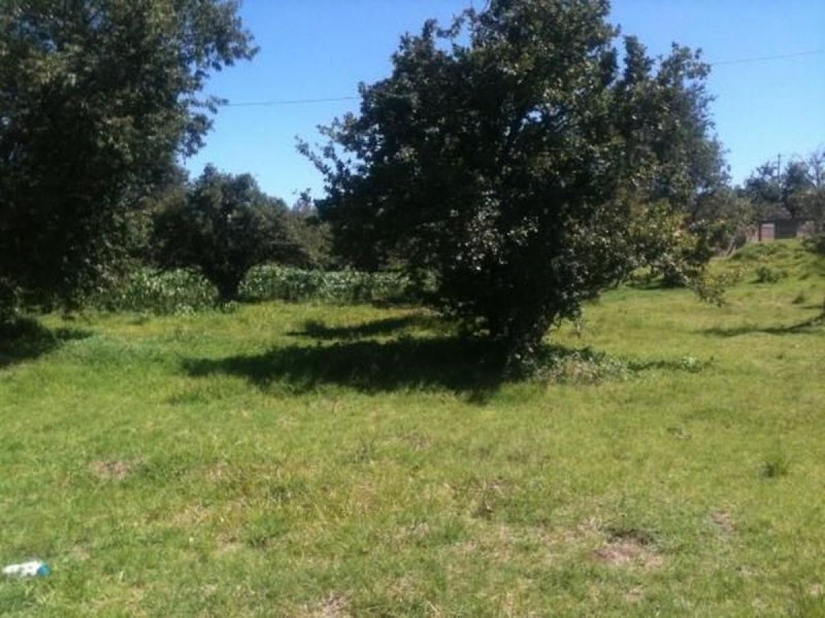  Land in Ezeiza, Argentina No. 42139