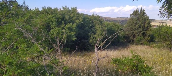 Hotel in Oraiokastro, Greece 12000m², Nr. 3915 2