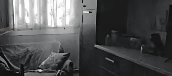 4 Schlafzimmer Wohnung in Taranto, Italy, Nr. 377248 4