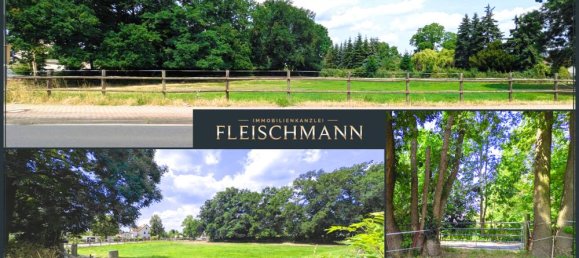  قطعة أرض في Nordsachsen, Germany رقم 284938 2