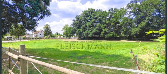  قطعة أرض في Nordsachsen, Germany رقم 284938 7