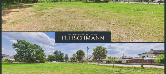  قطعة أرض في Nordsachsen, Germany رقم 284938 6