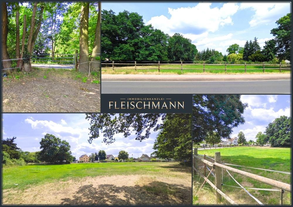  قطعة أرض في Nordsachsen, Germany رقم 284938