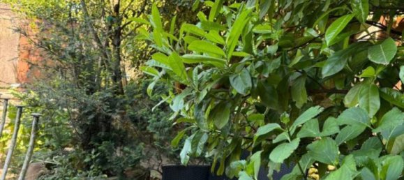 3 bedrooms House in Asolo, Italy No. 274554 3