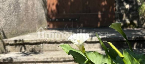 3 bedrooms House in Asolo, Italy No. 274554 35